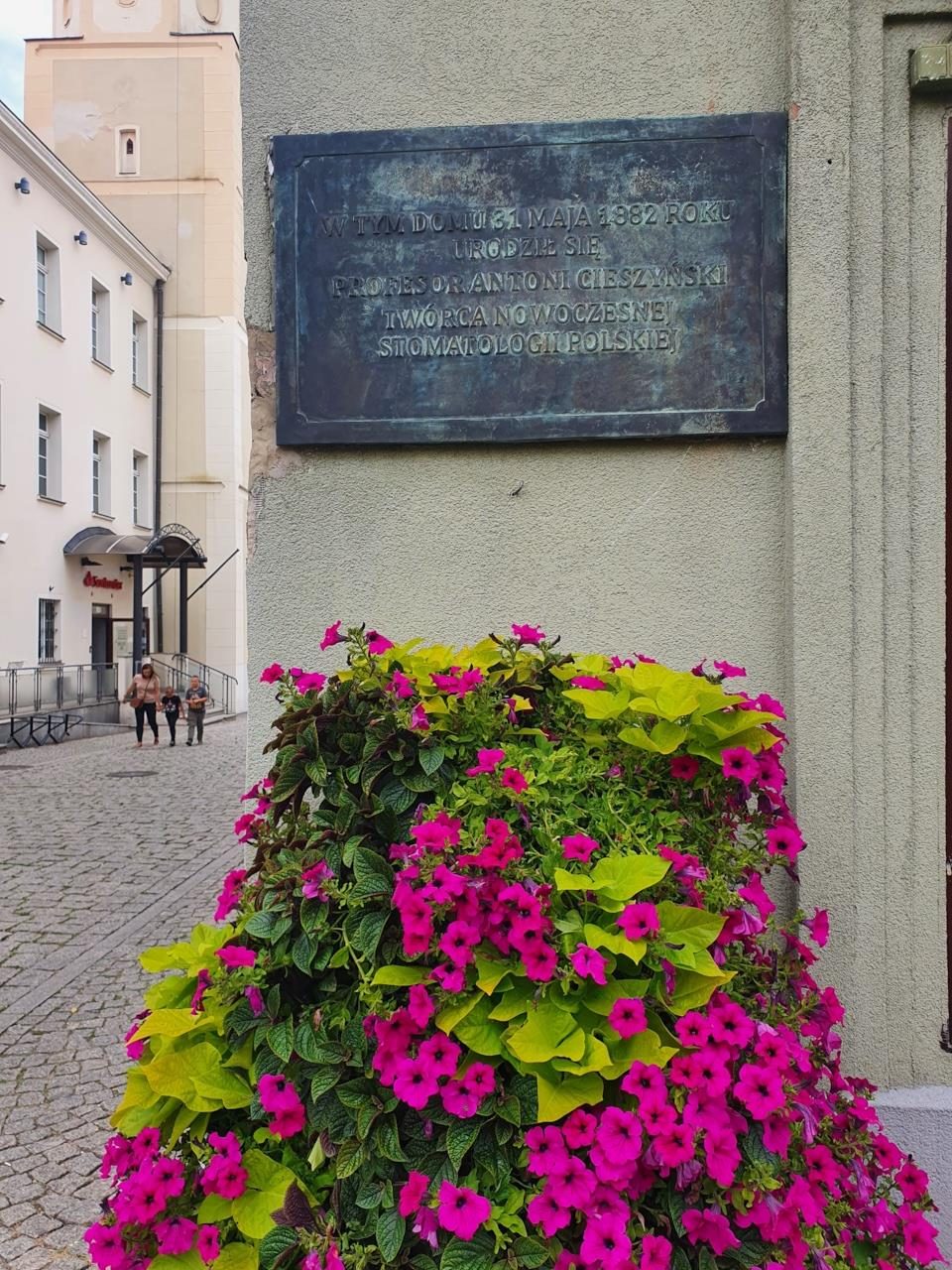Antoni Cieszynski's birthplace, Olesnica - 03.jpg